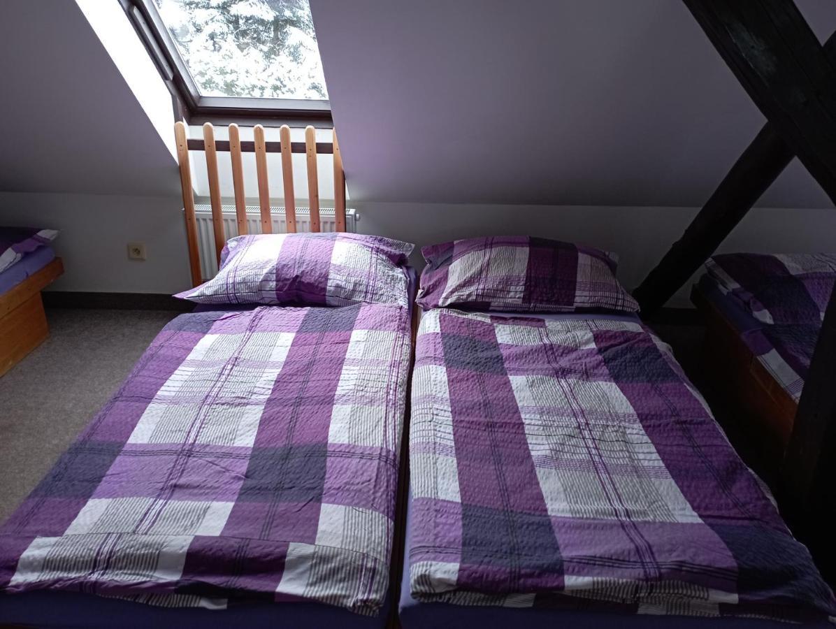 Penzion Hranicar Loučná pod Klínovcem 外观 照片
